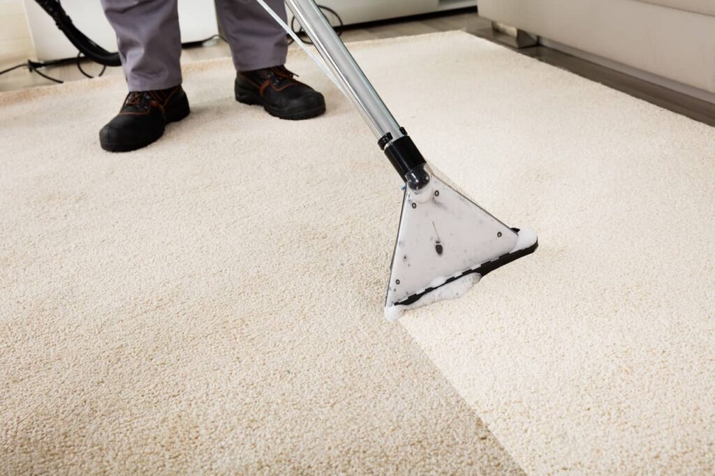  How to Clean Carpets