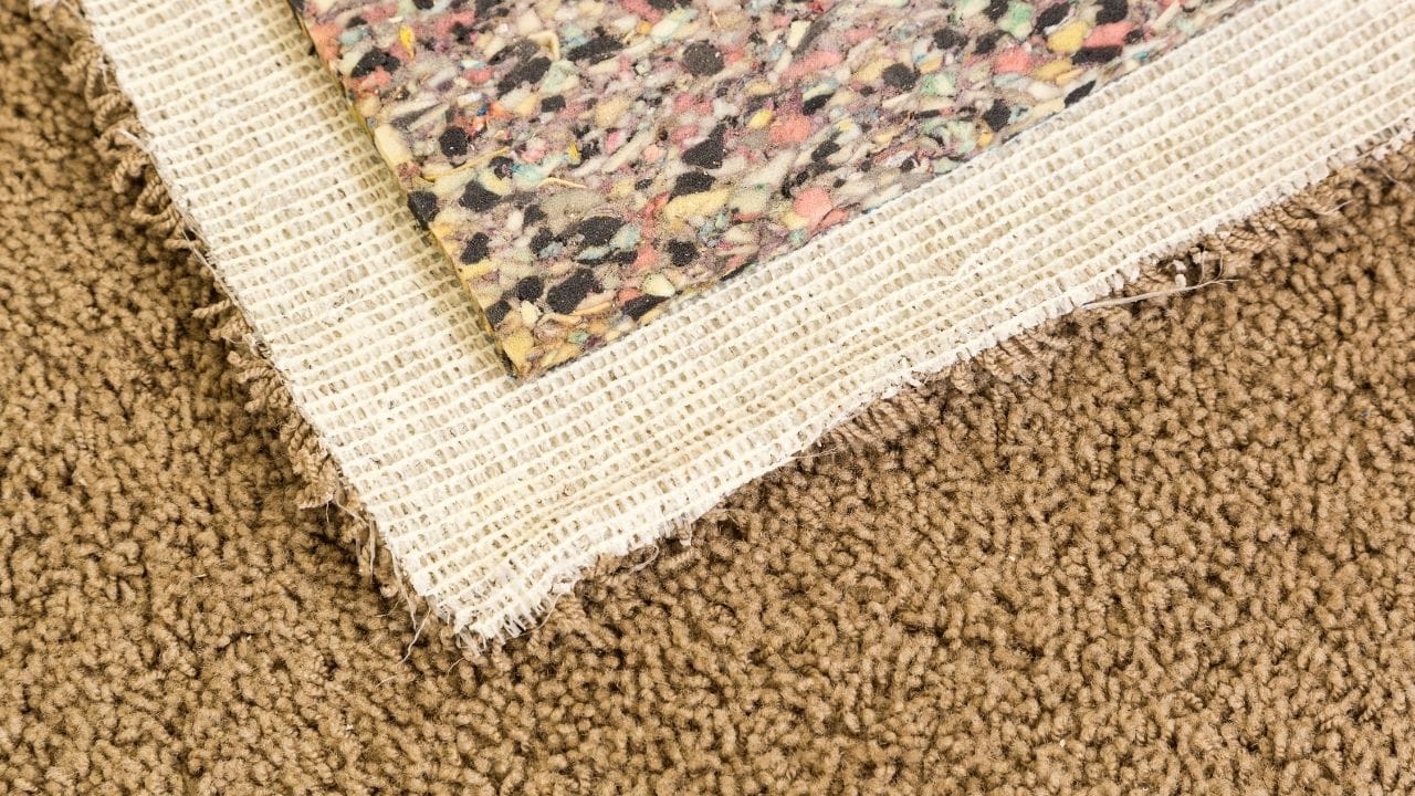 Expose Damp Padding of a Carpet