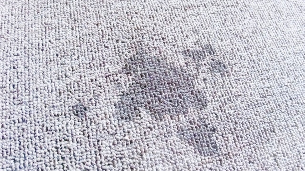 How to Dry Carpet Fast After Cleaning