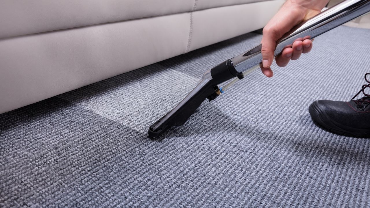 Professional Blow-Dry Services for Carpets