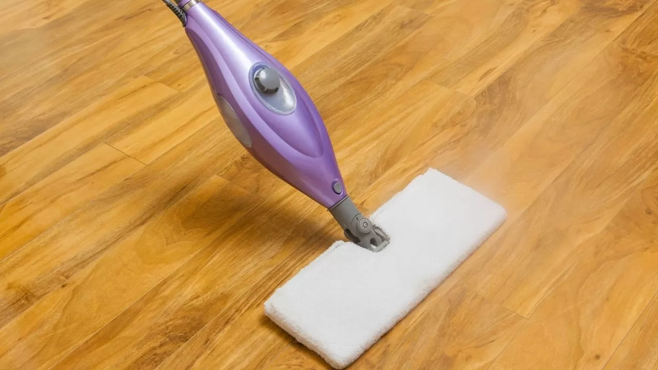 Steam Mop Pros and Cons