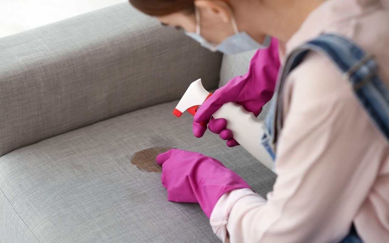 professional-upholstery-cleaning