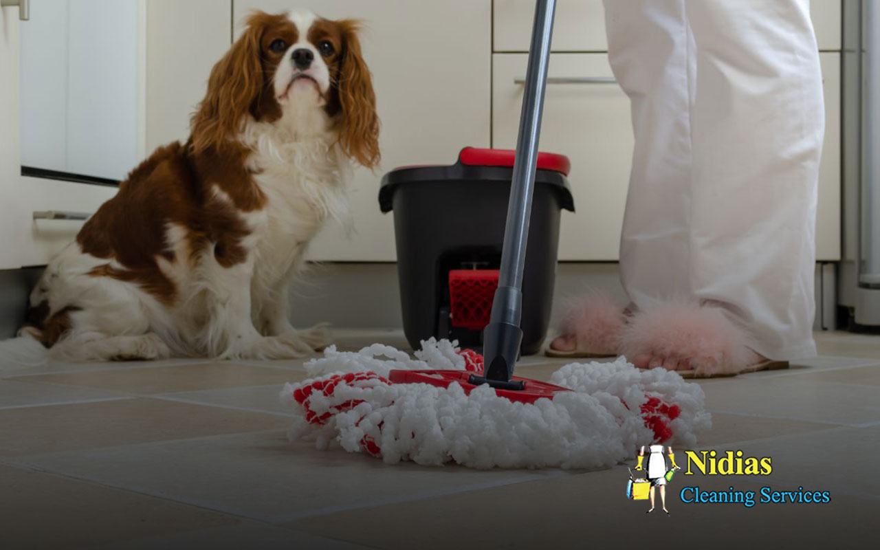 guide to maintaining a clean home with dogs