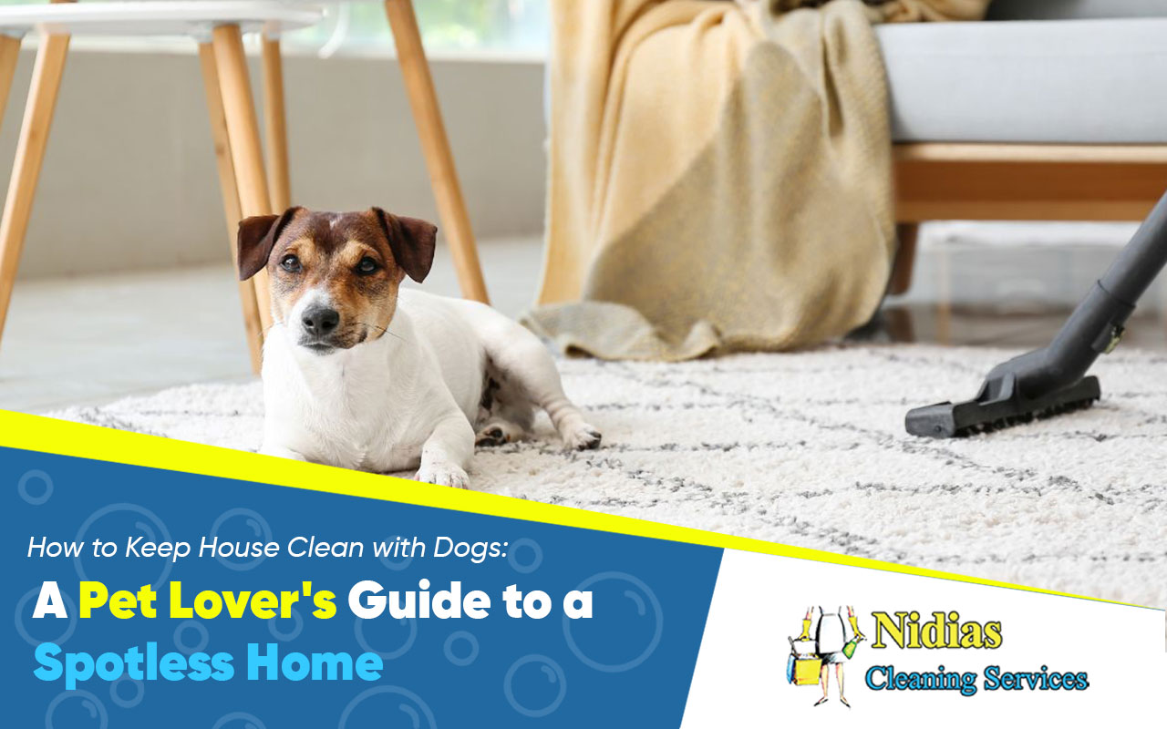 Expert cleaning tips for a dog-friendly house